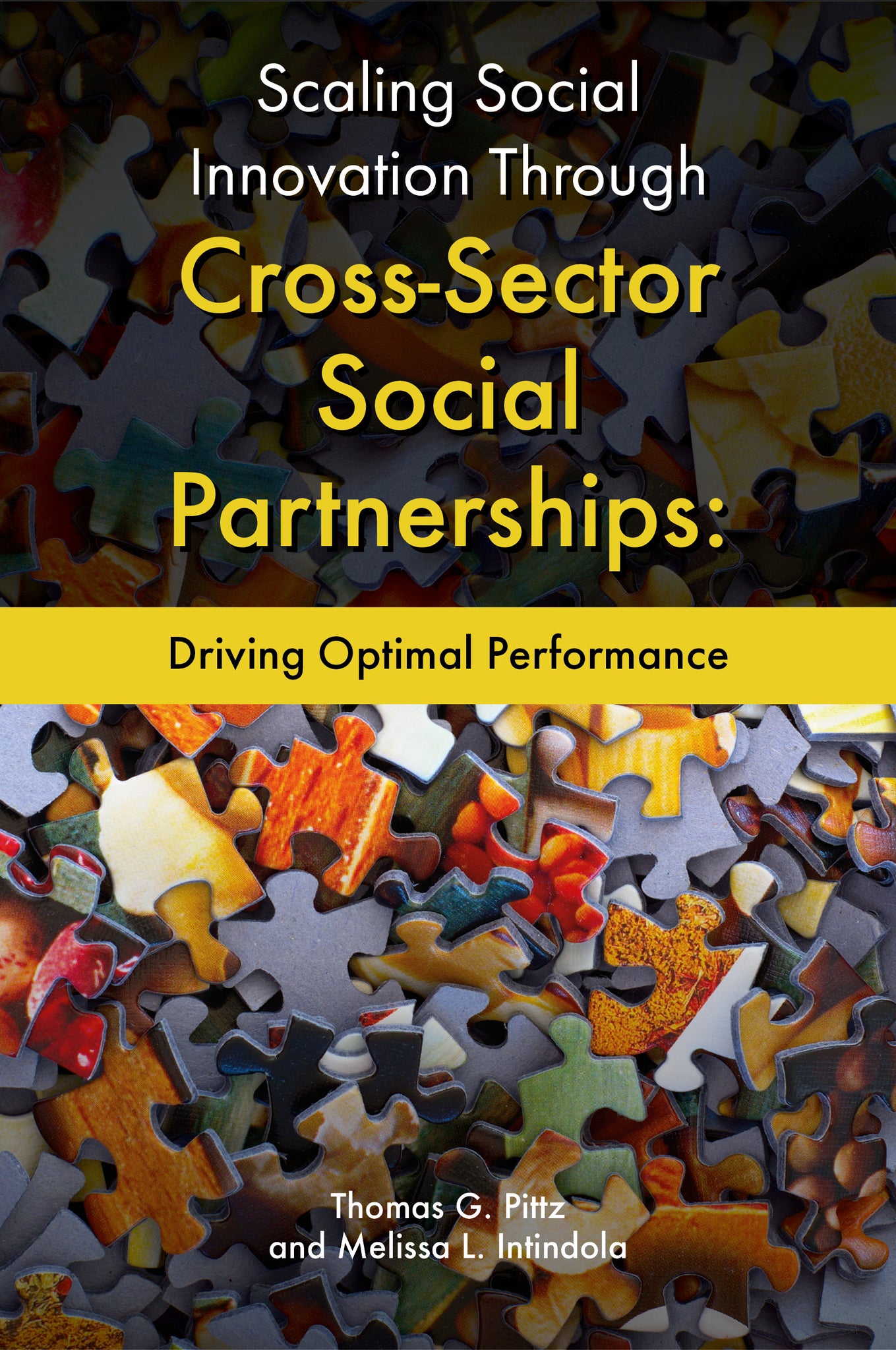 Cover image for Scaling Social Innovation Through Cross-Sector Social Partnerships ISBN 9781800435391